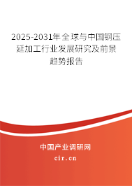 2025年鋼壓延加工行業(yè)前景展望 轉(zhuǎn)型與機(jī)遇并存的關(guān)鍵之年